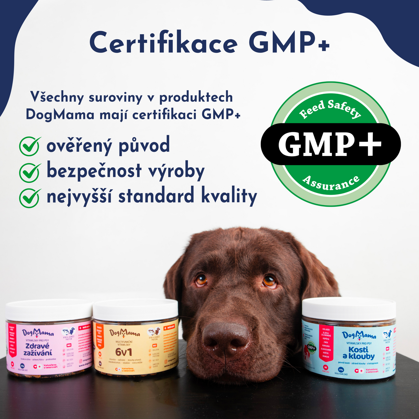 Kosti & Kĺby + Kolagén