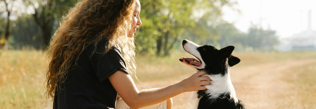 Veterinářka radí 1: Vše co musíte vědět o potravě psa - vitamíny skupiny B