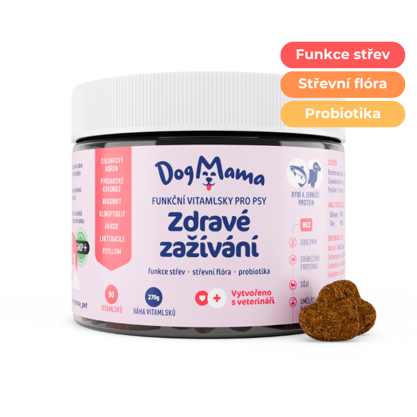 Zdravé zažívání + Probiotika