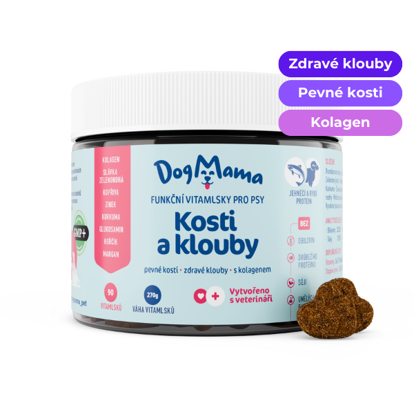 Klouby a kosti + Kolagen