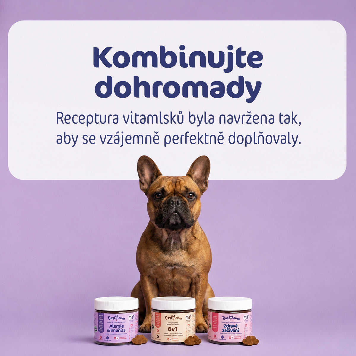 Alergia & Imunita