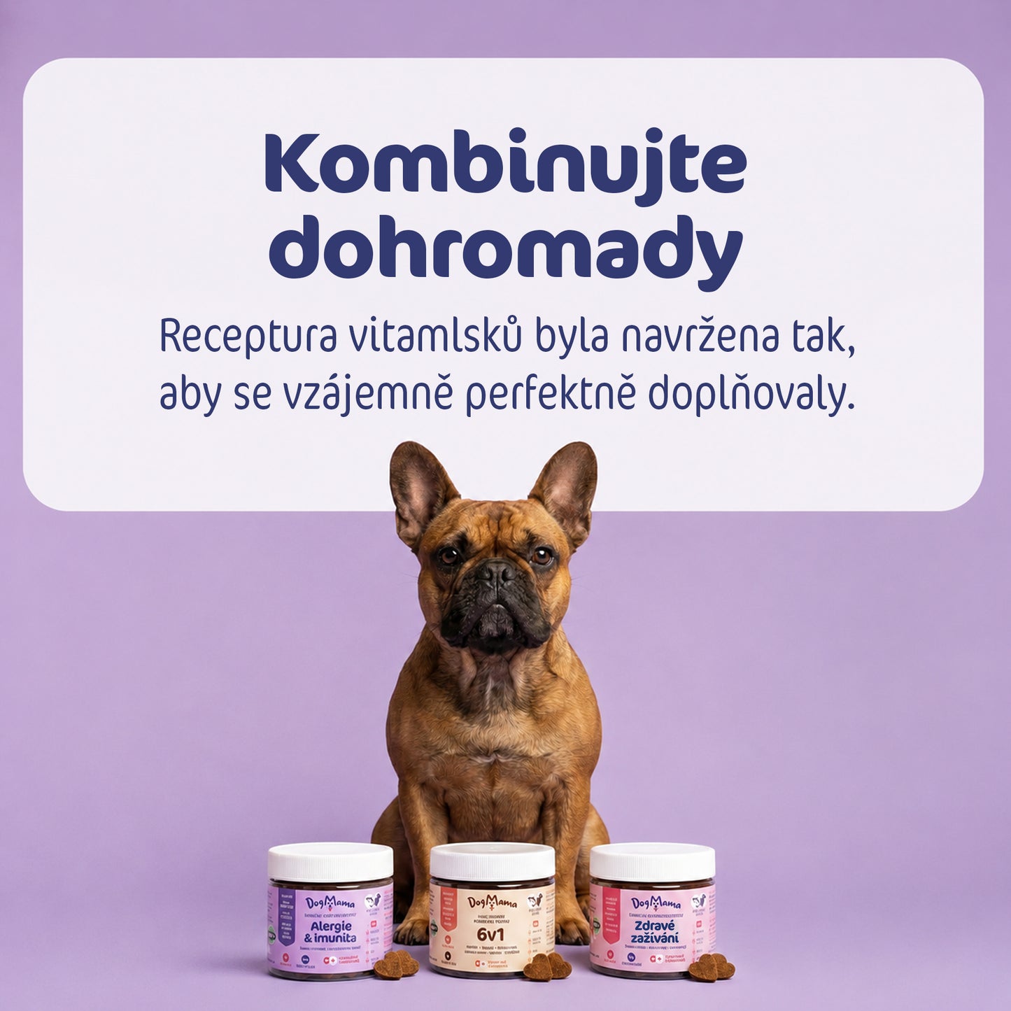 Alergia & Imunita