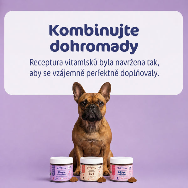 Alergia & Imunita
