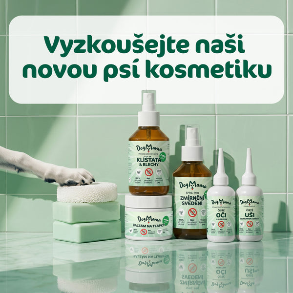Čisté uši