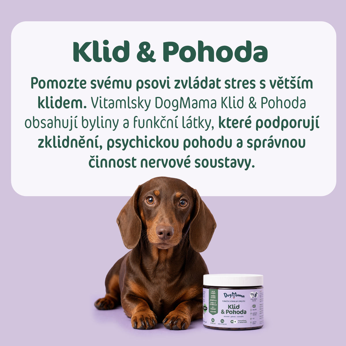 Kľud & Pohoda