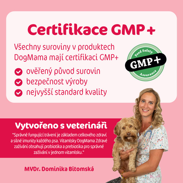 Zdravé trávenie + Probiotiká