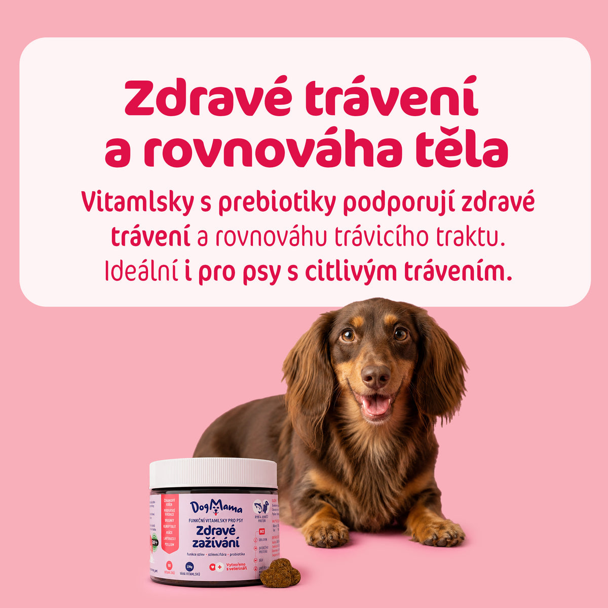 Zdravé trávenie + Probiotiká