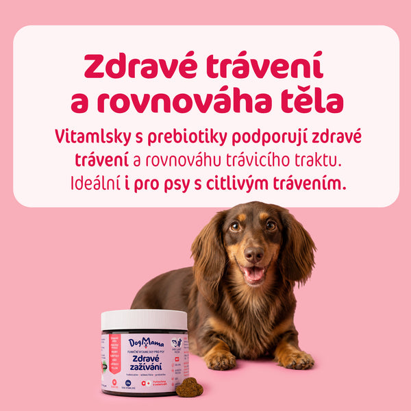 Zdravé trávenie + Probiotiká