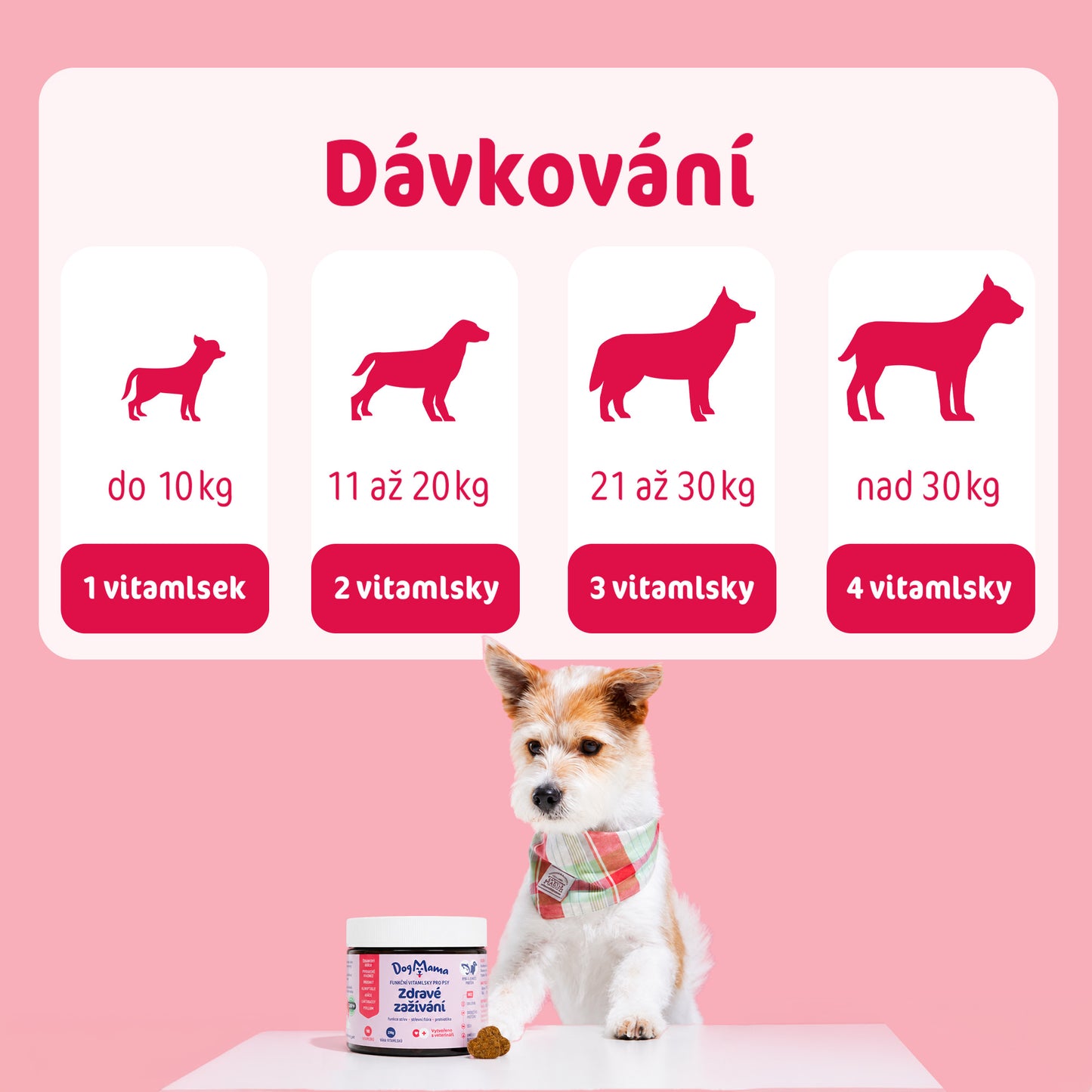 Zdravé trávenie + Probiotiká