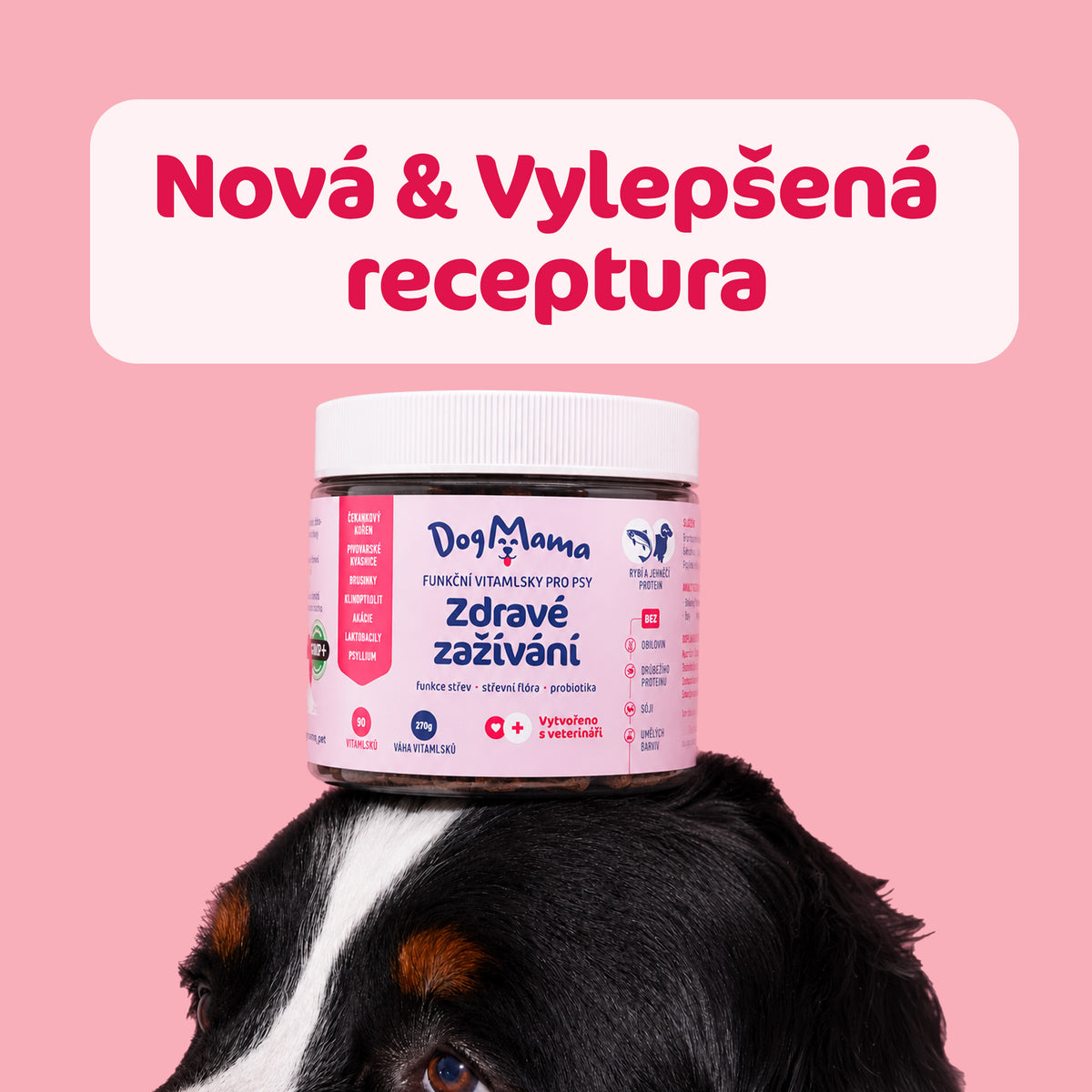 Zdravé trávenie + Probiotiká