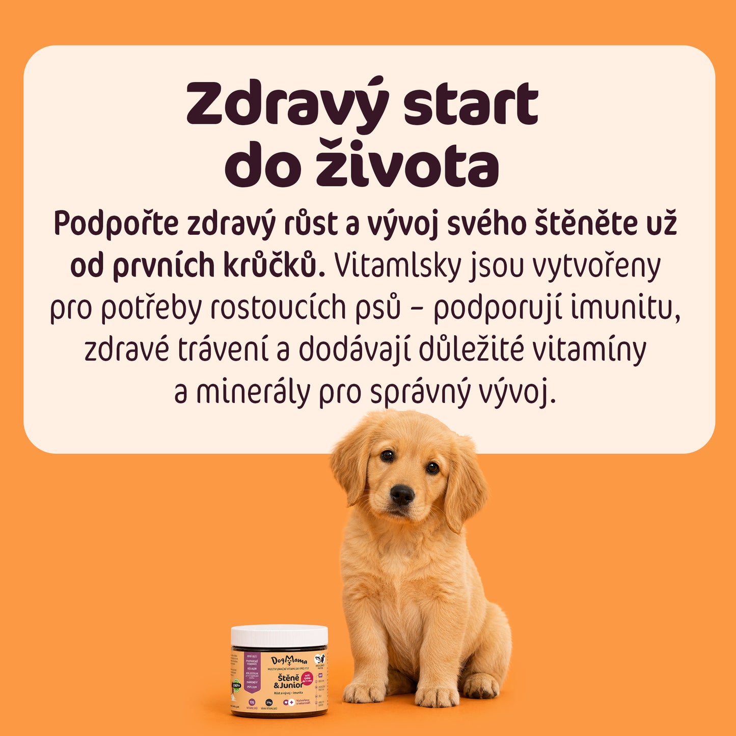 Šteňa & Junior