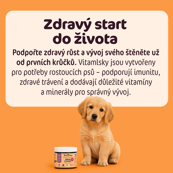 Šteňa & Junior