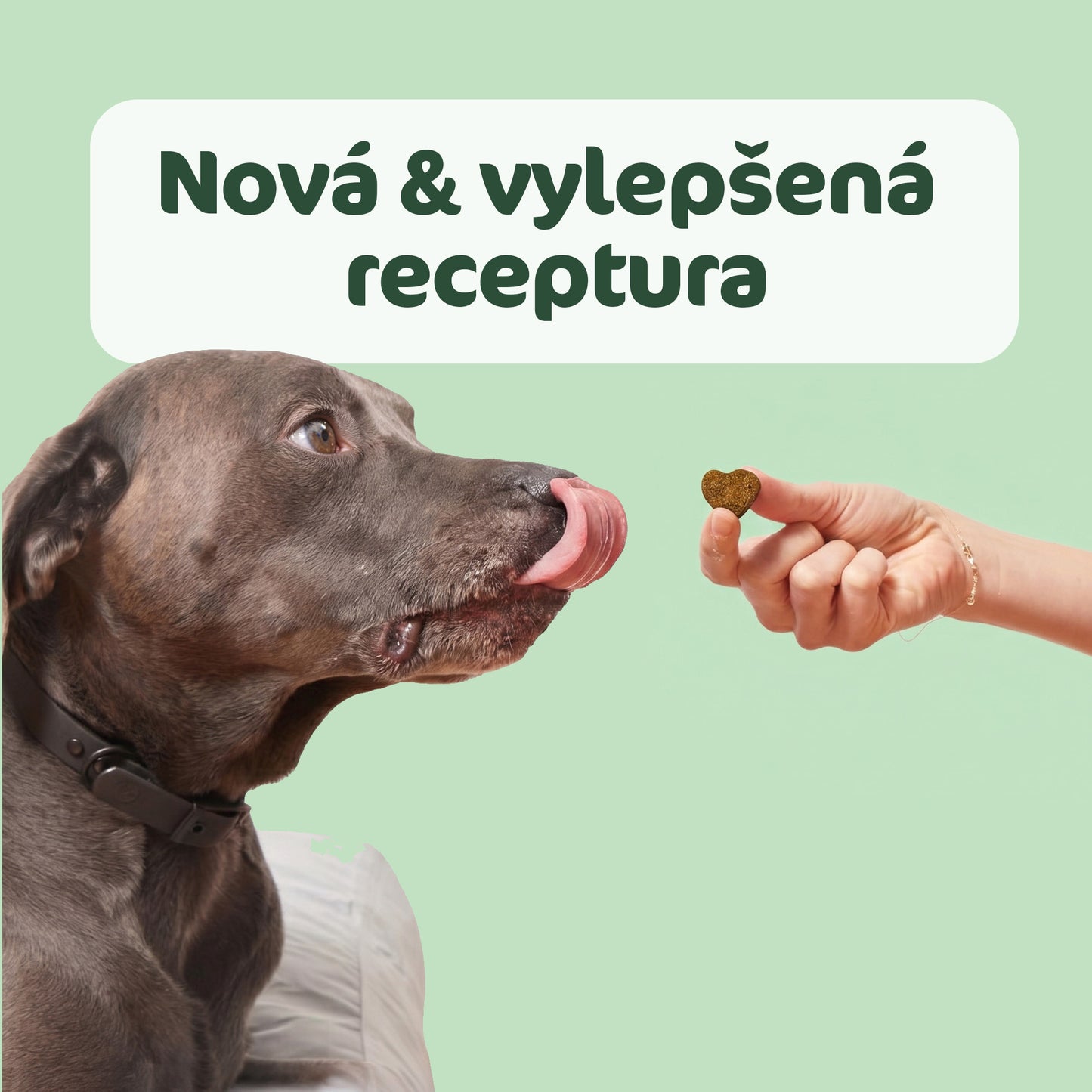 Srsť & Koža