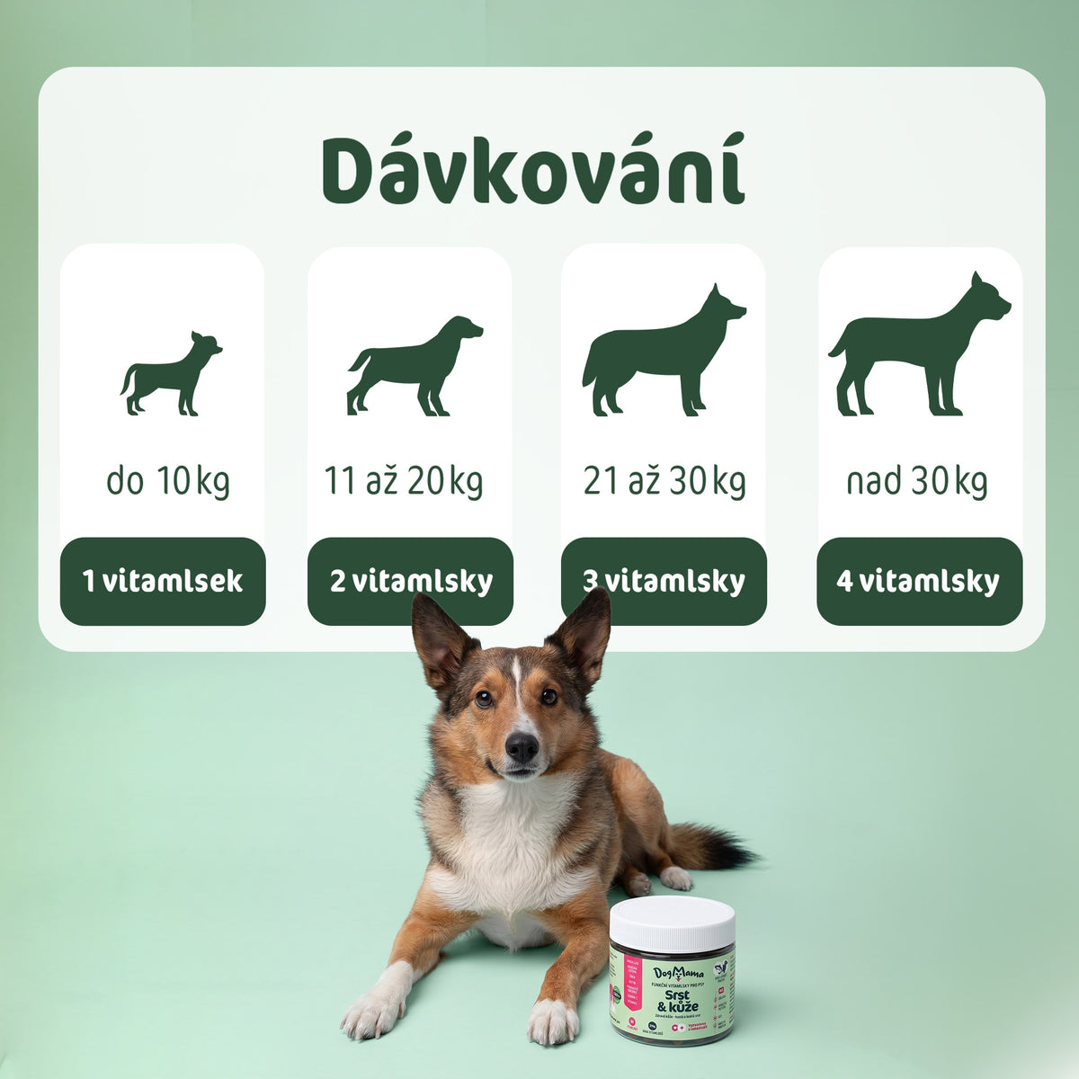 Srsť & Koža