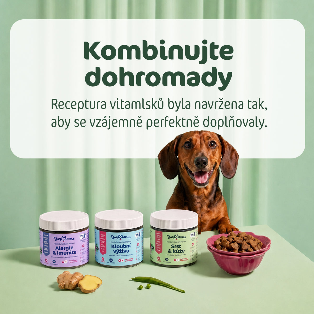 Srsť & Koža