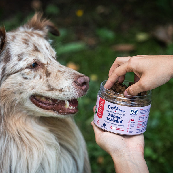 Zdravé trávenie + Probiotiká