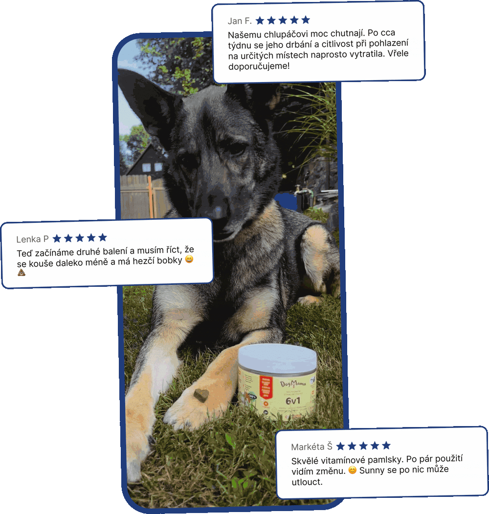 DogMama | Vitamlsky pro psí zdraví