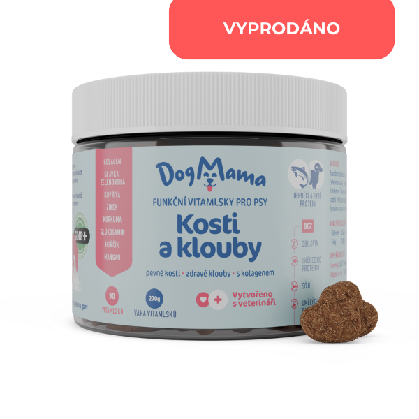 Kĺby a kosti + Kolagén