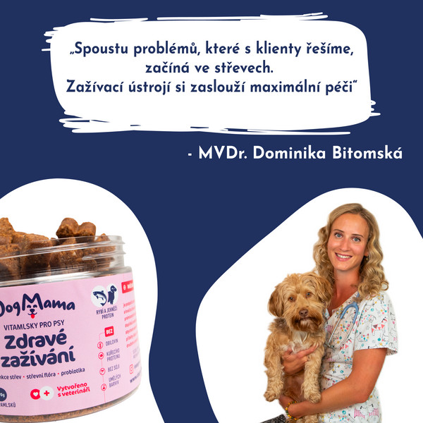 Zdravé zažívání + Probiotika