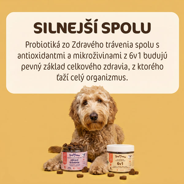 Kombo proti jedeniu trávy