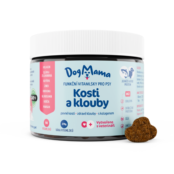 Kosti & Kĺby + Kolagén