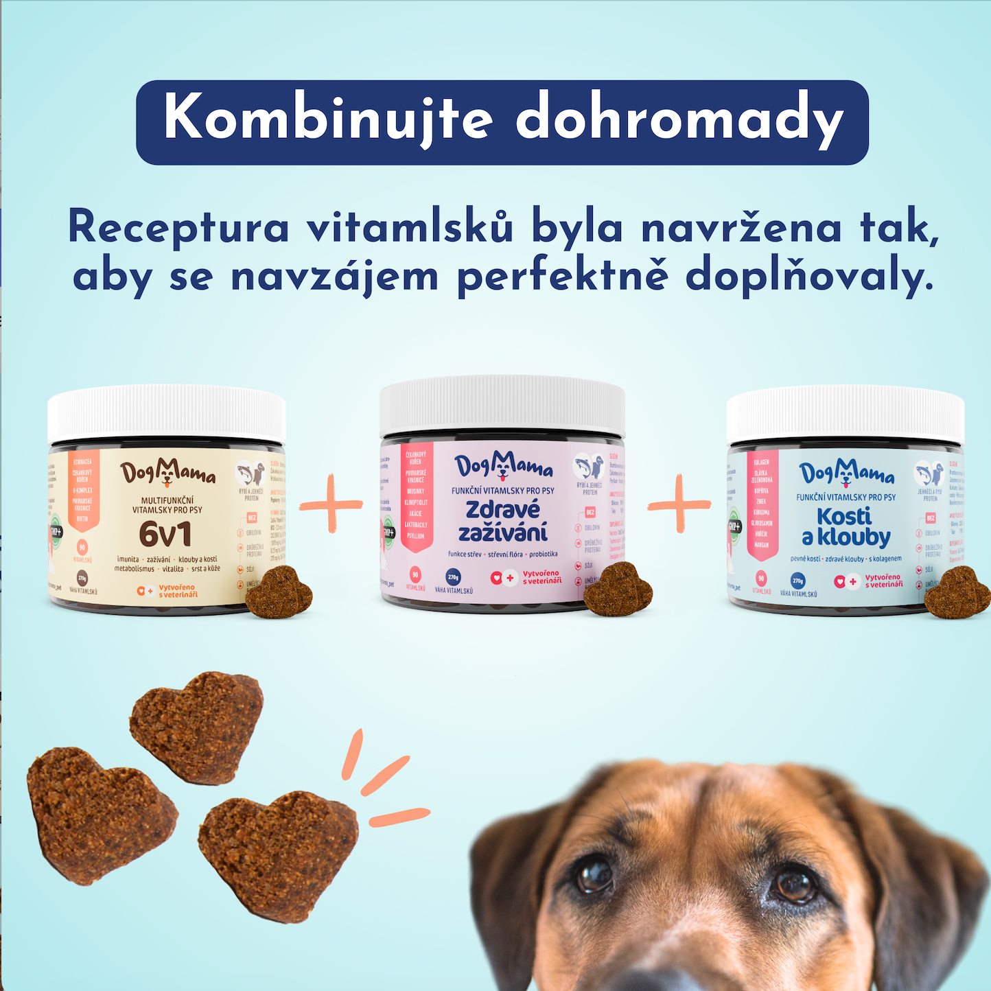 Kĺby a kosti + Kolagén