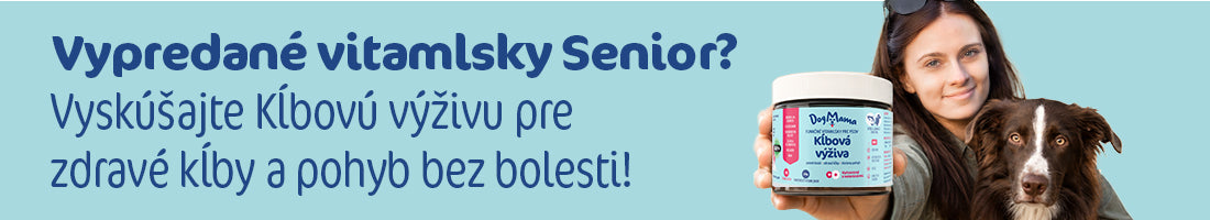 Senior Banner SK